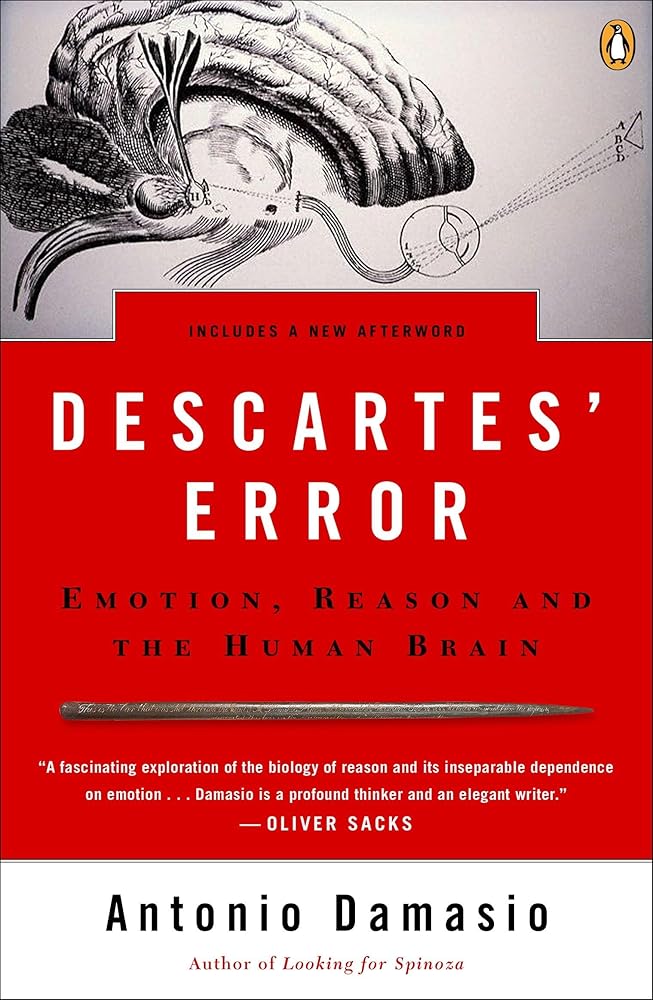 Descartes' Error: Emotion, Reason, and the Human Brain cover image