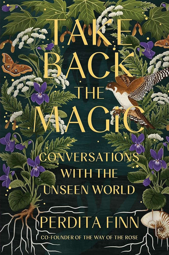 Take Back the Magic: Conversations with the Unseen World cover image