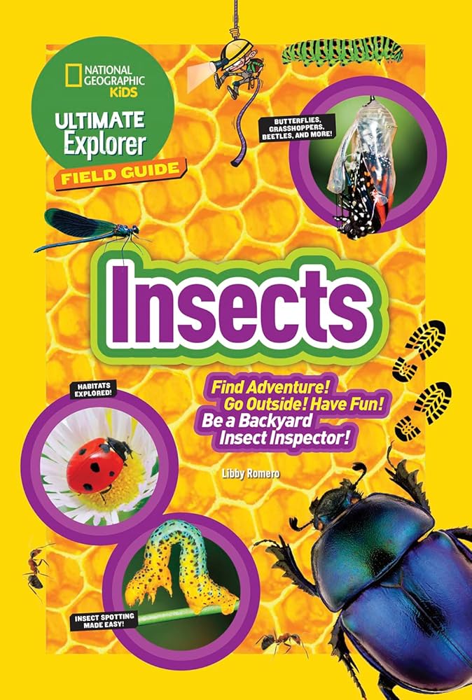 Ultimate Explorer Field Guide: Insects: Find Adventure! Go Outside! Have Fun! Be a Backyard Insect Inspector! cover image