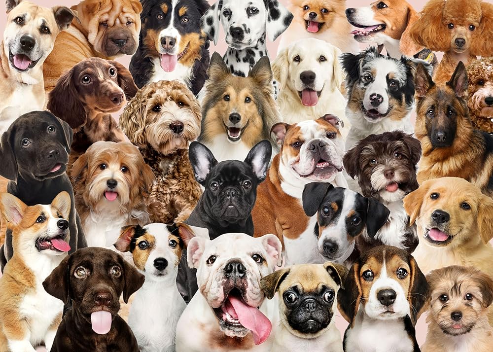All the Dogs Jigsaw Puzzle cover image