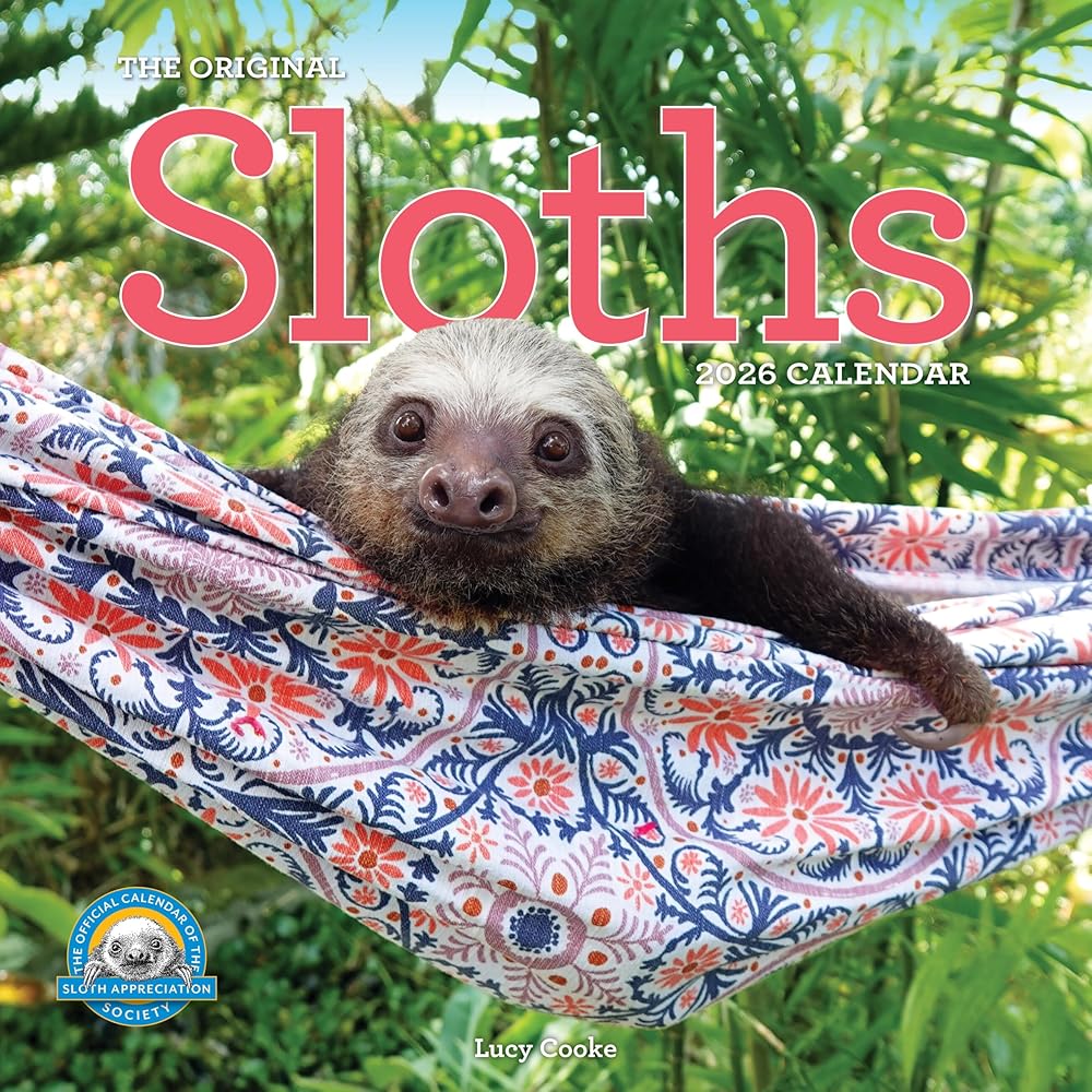 Original Sloths Wall Calendar 2026: The Ultimate Experts at Slowing Down cover image