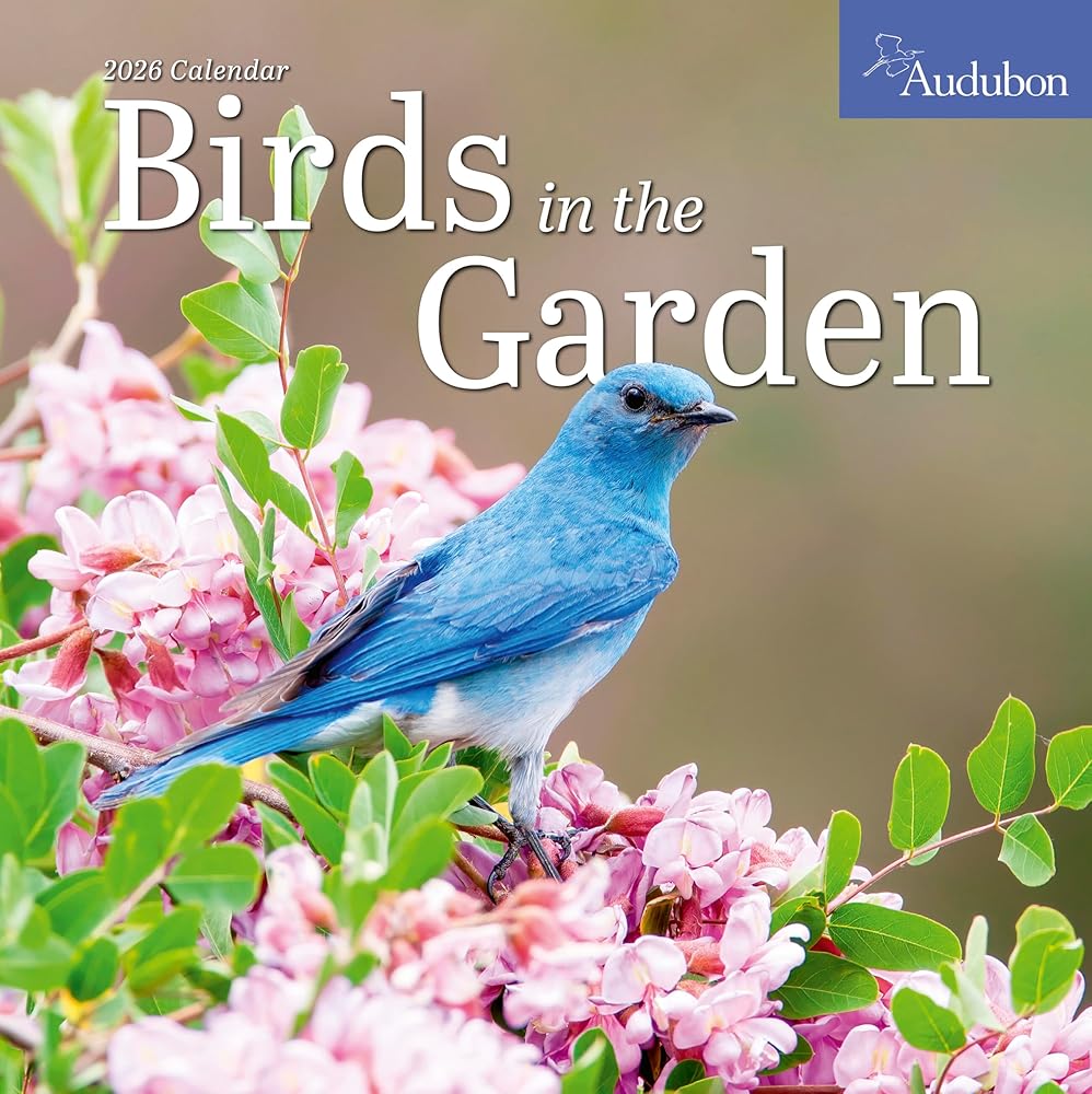 Audubon Birds in the Garden Wall Calendar 2026: Use Native Plants to Attract Birds and Pollinators to Your Backyard cover image
