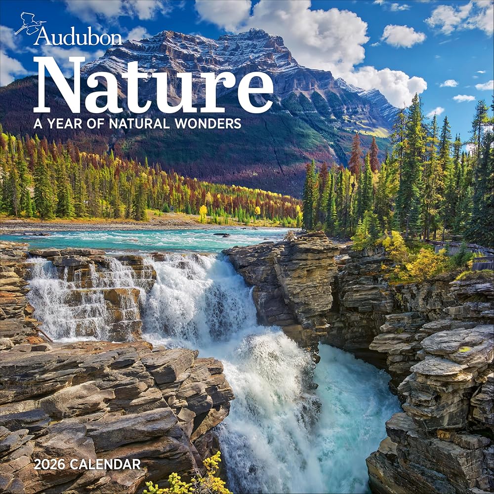 Audubon Nature Wall Calendar 2026: A Year of Breathtaking Vistas cover image