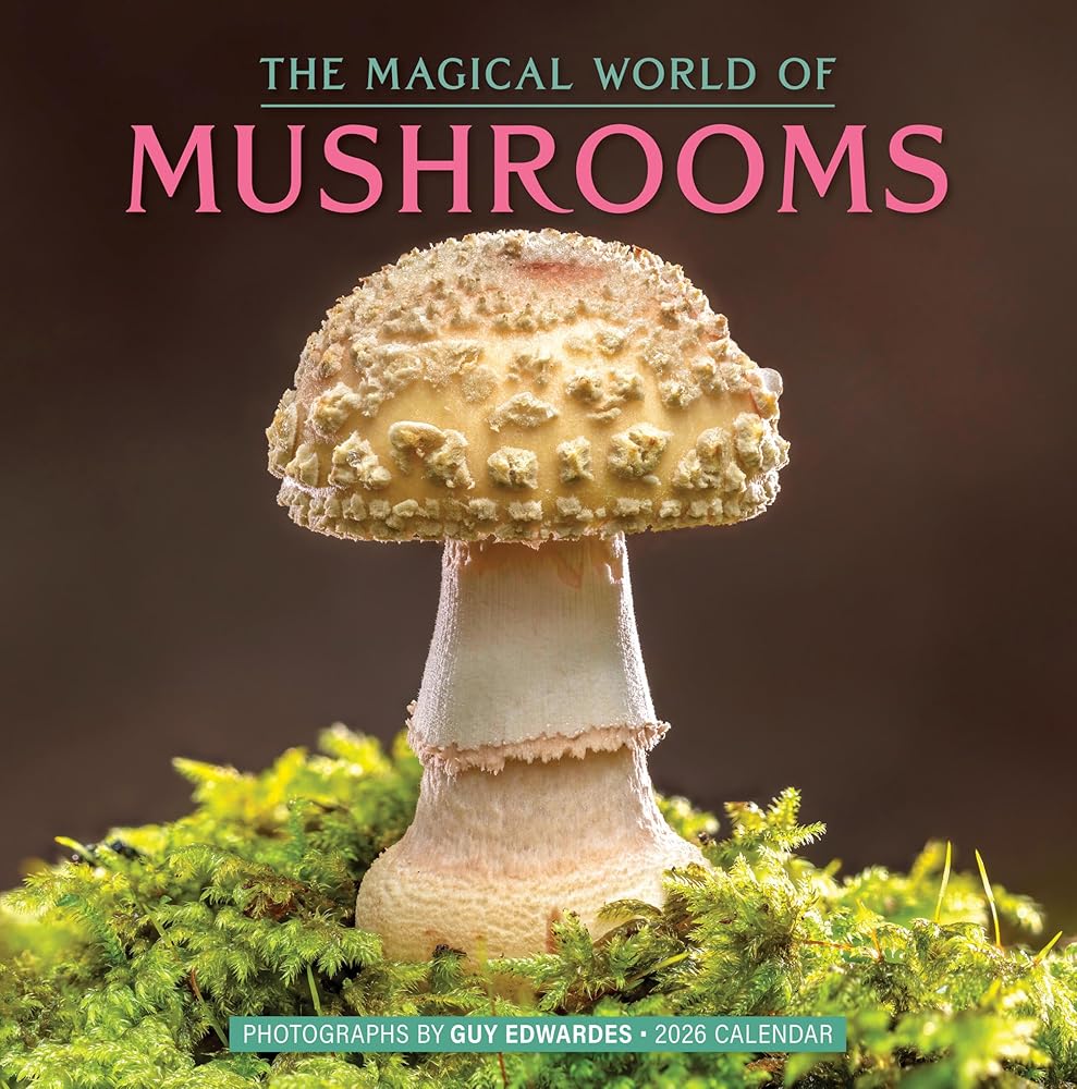 The Magical World of Mushrooms Wall Calendar 2026 cover image