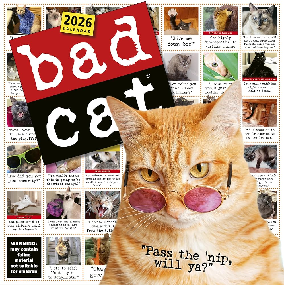 Bad Cat Wall Calendar 2026: Celebrating the Misfits of the Feline World cover image