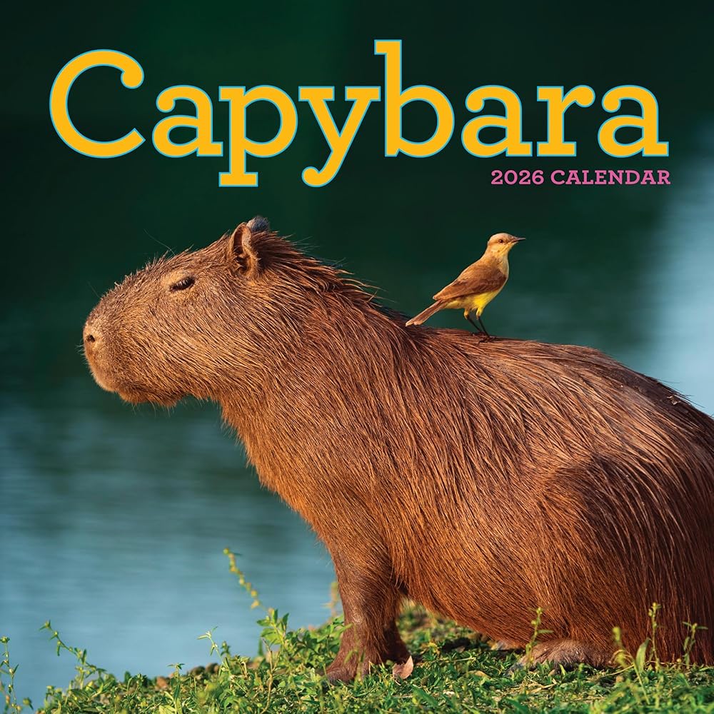 Capybara Wall Calendar 2026 cover image