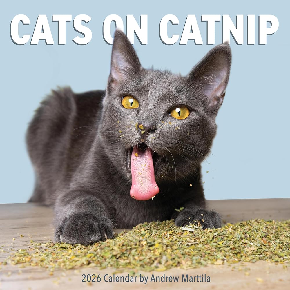 Cats on Catnip Wall Calendar 2026 cover image