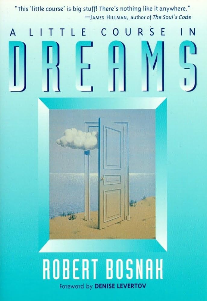 A Little Course in Dreams cover image