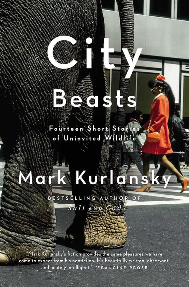 City Beasts: Fourteen Stories of Uninvited Wildlife cover image