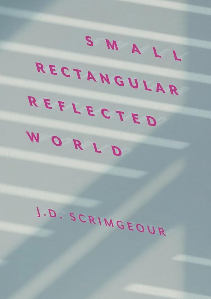 Small, Rectangular, Reflected World cover image